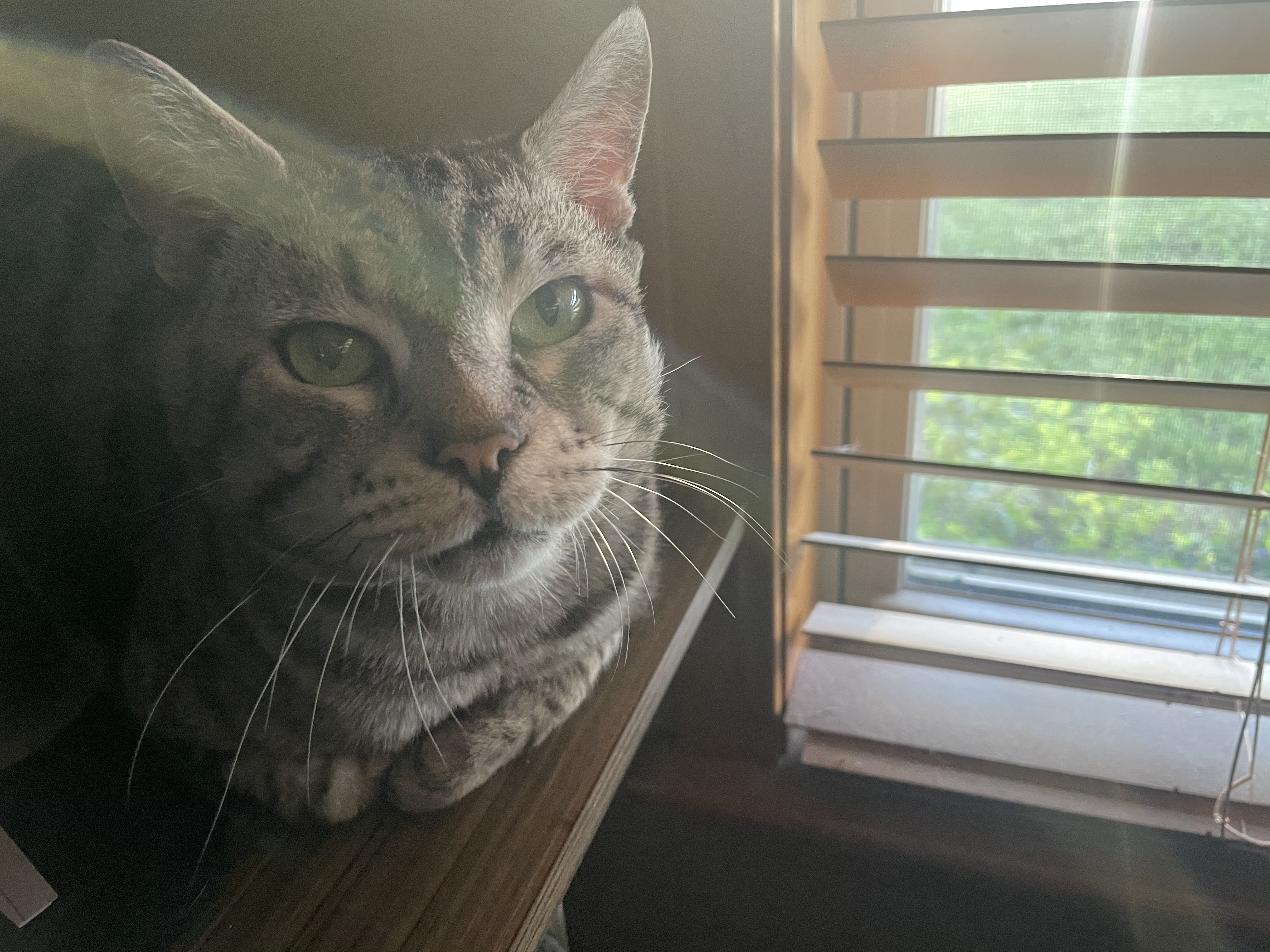 window2.jpeg window2.jpeg